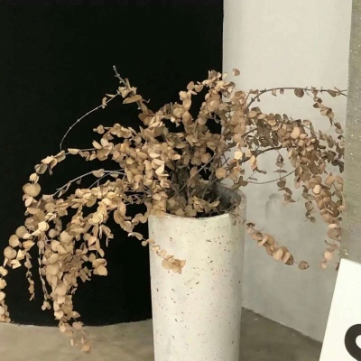 Furry插画元素灵感福瑞交流群